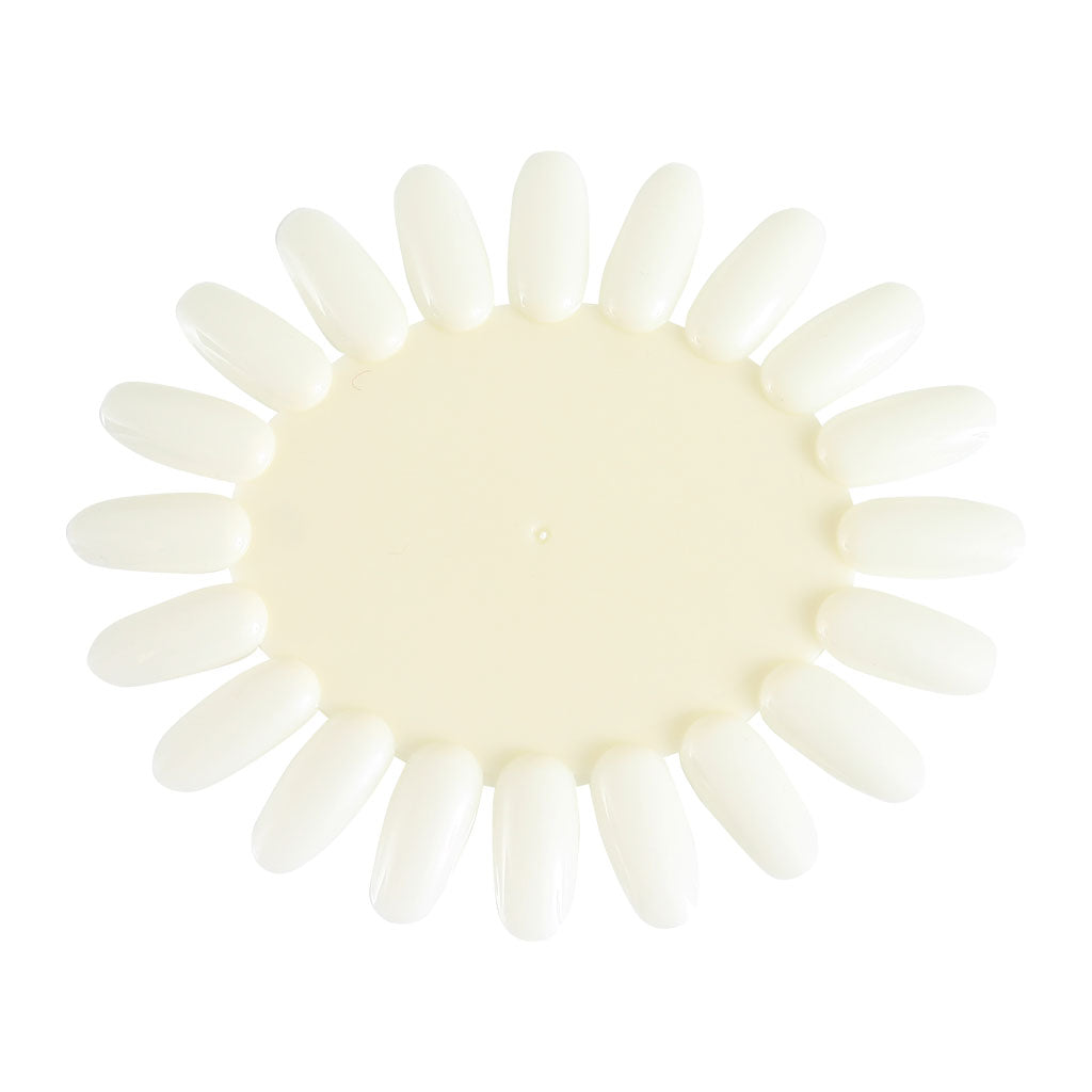 Color Wheel Oval Natural 20 tips