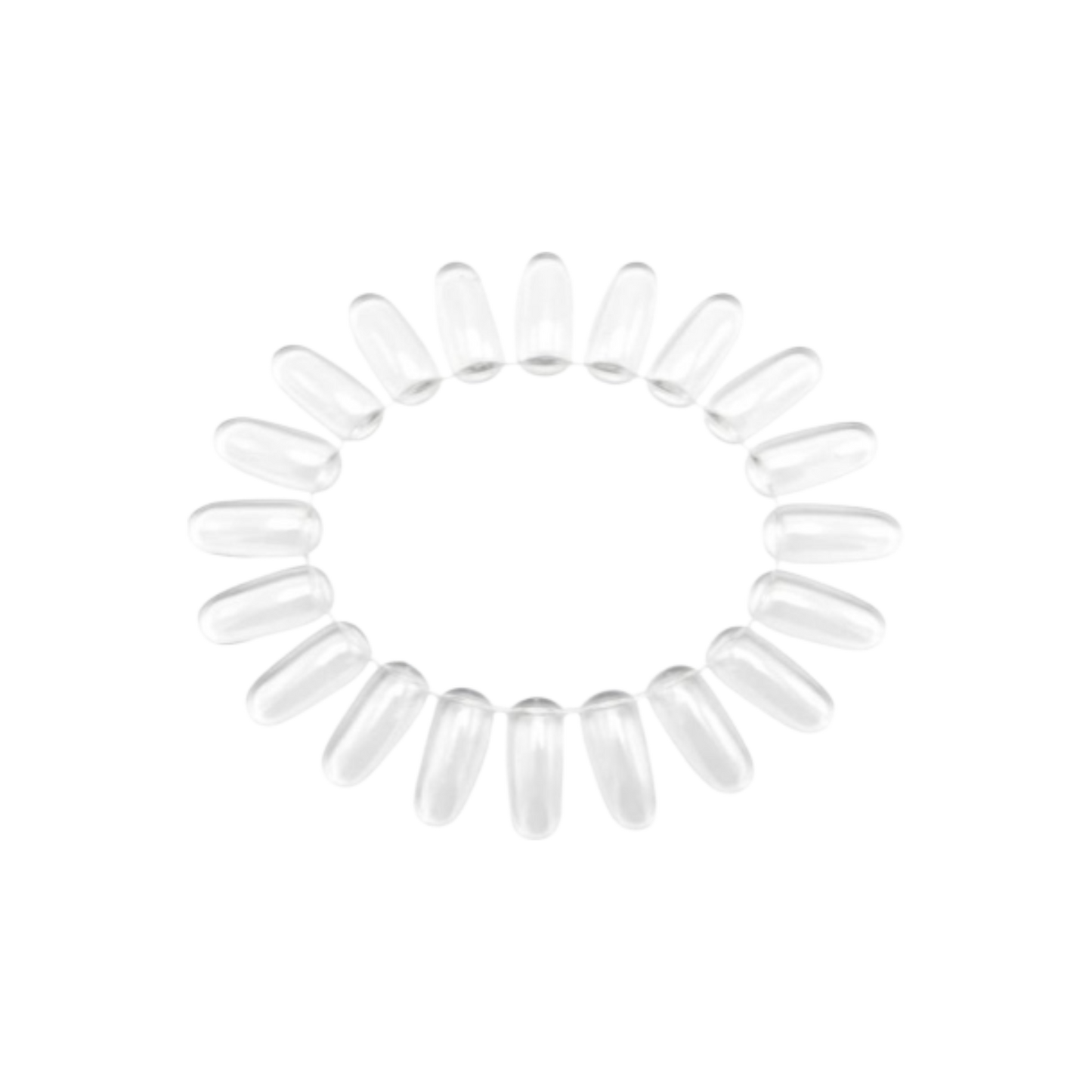 Color Wheel Oval Clear 20 tips