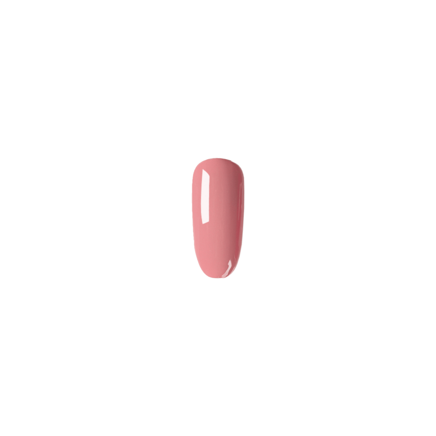 Glamour Nails Extension Eðal pakkinn