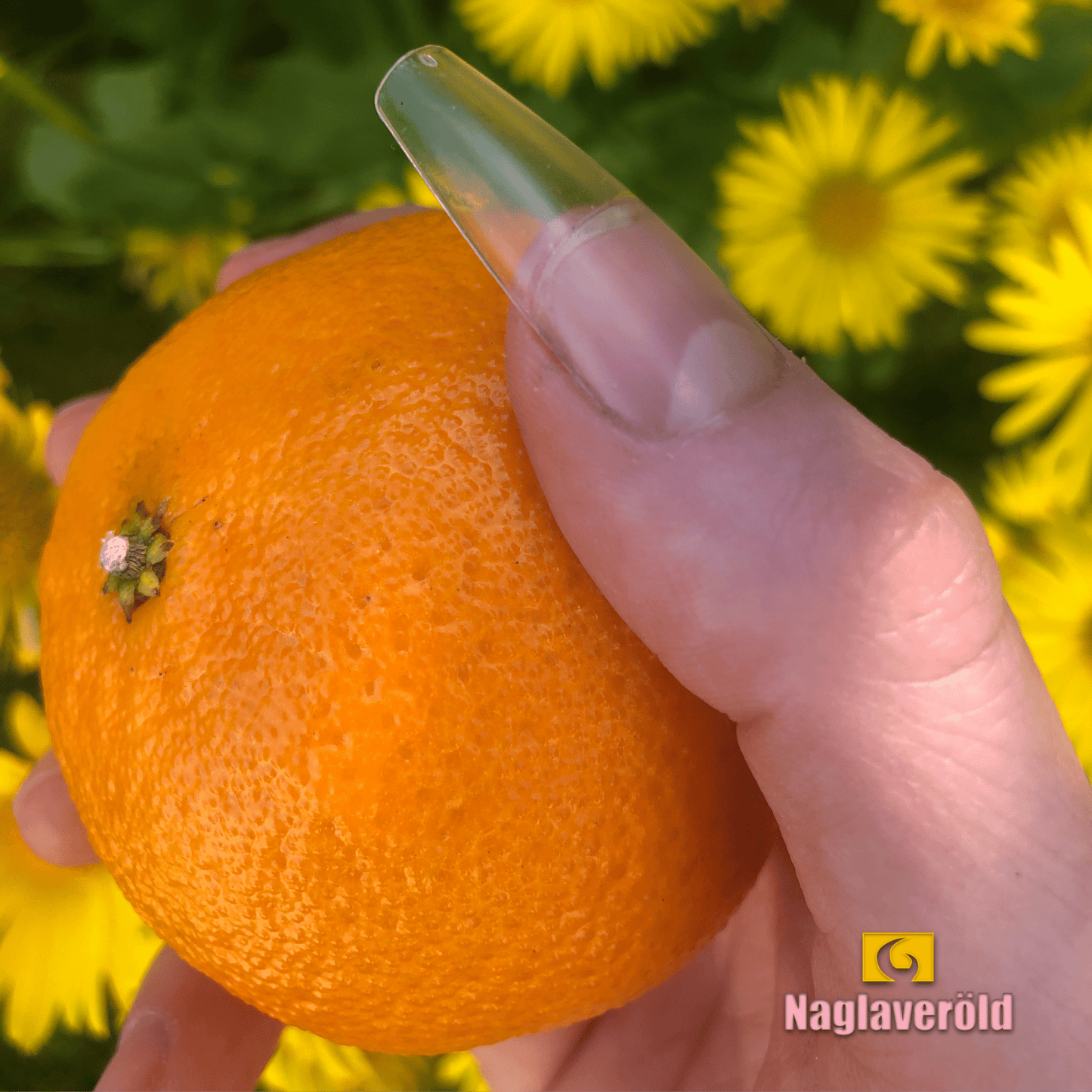 Soft Gel Nail Tips