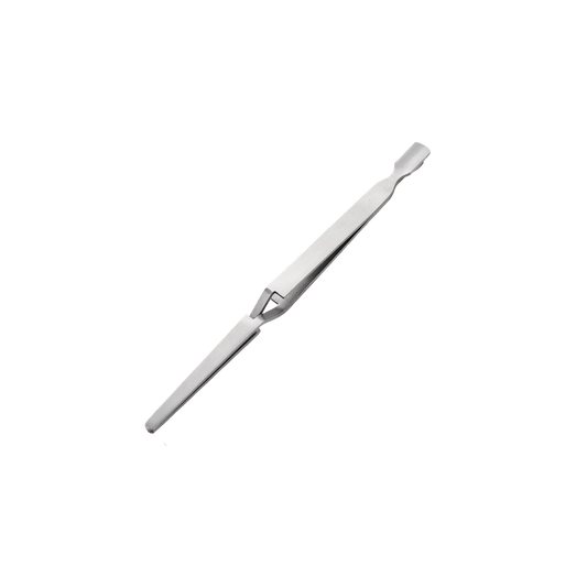 C-curve Holder